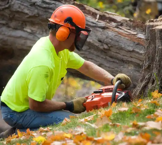 tree services Poolesville